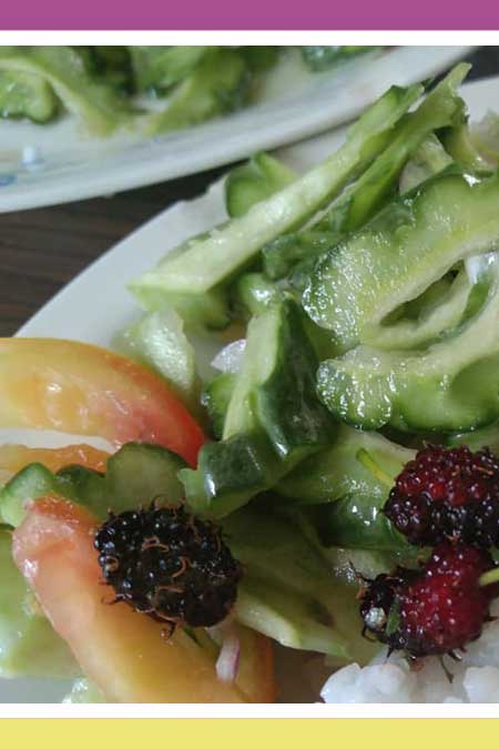 BITTER MELON WITH MULBERRIES SALAD (INSALADANG AMPALAYA AT MULBERRIES)